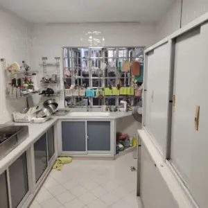Huge 3 Storey Semi D/ Telok Kurau, image 3